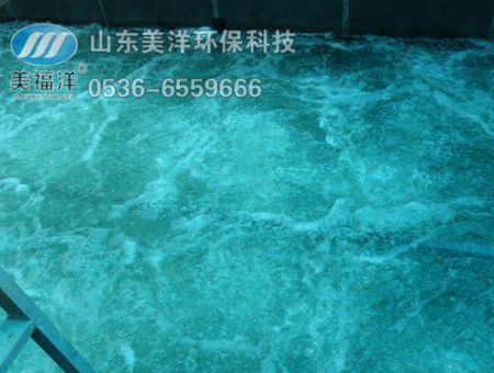 點擊查看詳細(xì)信息<br>標(biāo)題：曝氣 閱讀次數(shù)：3218