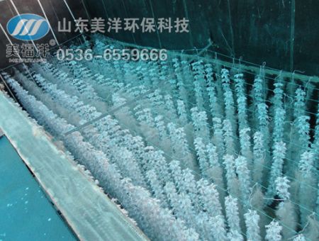 點擊查看詳細(xì)信息<br>標(biāo)題：填料 閱讀次數(shù)：2937